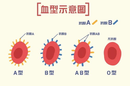 O型血不 万能 ,输血指征来学习