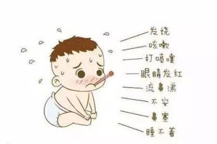 夏季儿童常见疾病预防小妙招