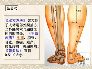 颈肩腰腿痛穴位讲解图 