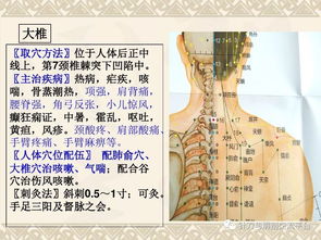 颈肩腰腿痛穴位讲解图