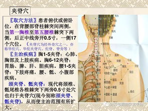 颈肩腰腿痛穴位讲解图 