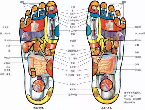 影院足道开业福利 59.9元抢原价159元70分钟足疗套餐 格调大气的环境,细致体贴的服务,娴熟老练的技术 休闲与养生超棒 按摩 