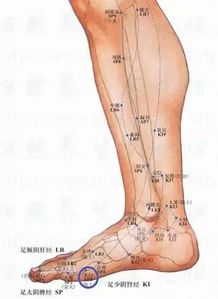 把脾经上的几个大穴走顺了,祛除百病,永葆健康