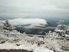 峨眉山下雪了 又添新路线新玩法 