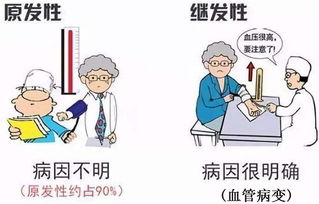 名医专访 同济大学附属东方医院王娟 高血压的诊断与治疗