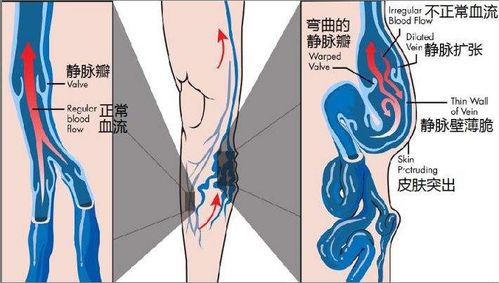 9.10教师节 老师,您辛苦了 这份健康指南送给您