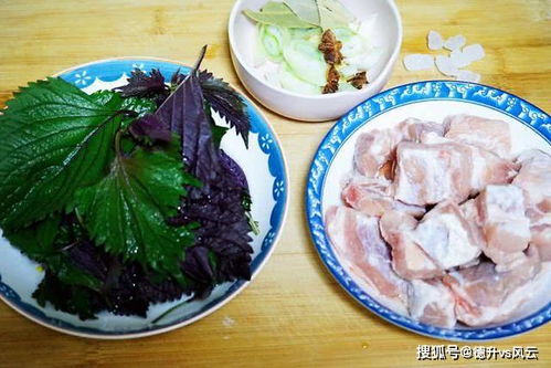 紫苏叶健胃驱寒,更能去油腻,学了这道炖菜食谱,放心吃肉更健康