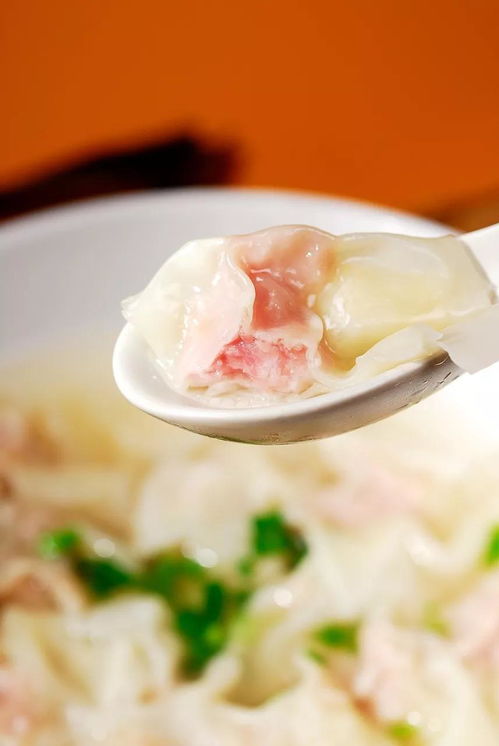 中国哪里的馄饨最好吃