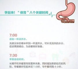 速转 养胃指南请收好