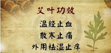 从吃到用,艾叶的好处你知多少 