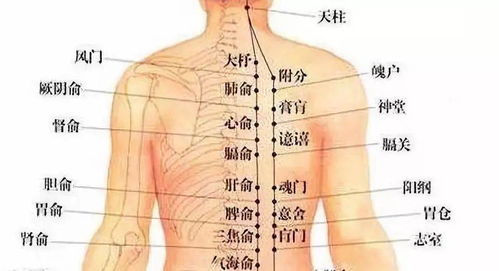 多年口臭,难以启齿 艾灸调理,一穴即痊愈