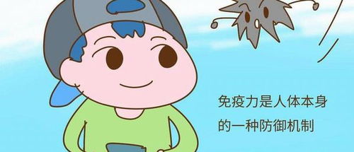 每天吃鸡蛋同不吃鸡蛋的人对比,或有4个差距,简单了解一下