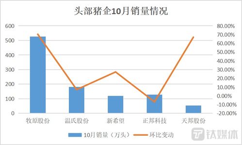 跌跌不休 的猪价终于迎来了一波强势反弹