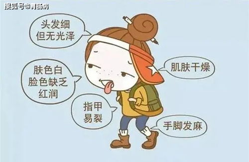 你到底是 阴虚 还是 阳虚 一文说清楚