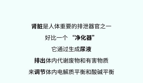 为什么尿毒症患者越来越多 医生 这3个习惯别再碰