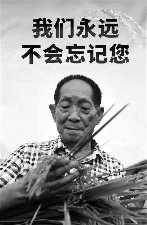 袁隆平院士摔了一跤不幸离世,只是摔跤为什么这么严重