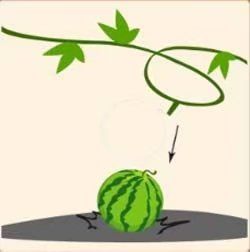 9月爱情事业两丰收,凡事都逢凶化吉,遇难呈祥,财运飙升的生肖