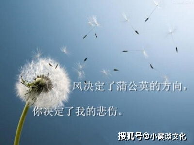 最伤感的女生个性签名,经典悲凉,哪一句让你看红了眼眶