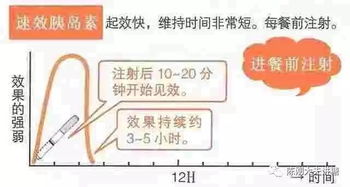 陈刚大夫讲糖 我换用诺和锐30,为啥中餐后血糖总不好 
