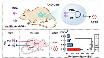通过绿茶治疗糖尿病,华东师大最新研究登上Science子刊封面