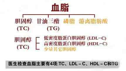 血脂不高还要继续吃他汀吗