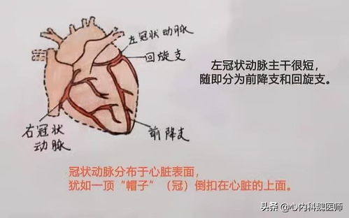 心肌缺血吃什么药最好 医生 服用这3种药物,有效减少心肌缺血