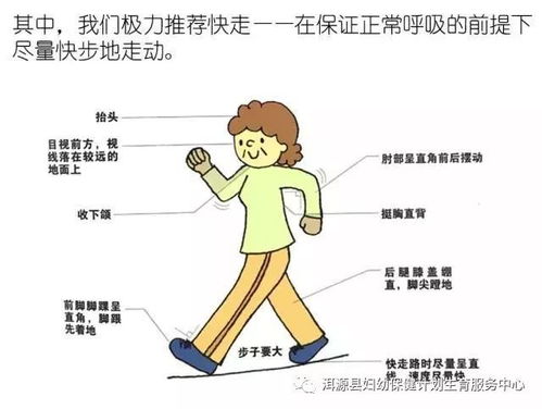 健康讲坛丨国家基本公共卫生服务项目 七 高血压患者健康管理服务