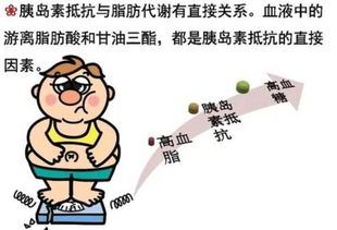 你离高血压有多远 切记这4种疾病是帮凶