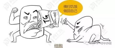 科普 体检报告第一波 甘油三酯是什么 