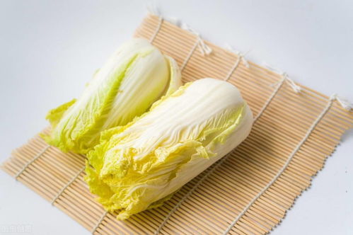 易瘦体质是怎么养成的 这6点是关键,一个都不能错