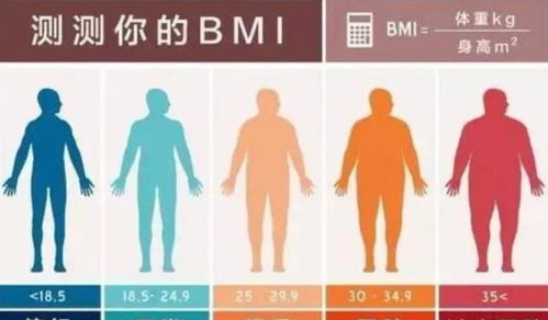 人的寿命与体重有关 过了60岁,体重在什么范围内,易长寿