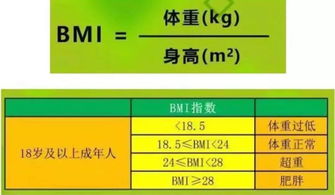 保持健康体重,跟卡路里说Bye Bye