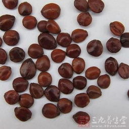 酸枣仁汤方剂功效