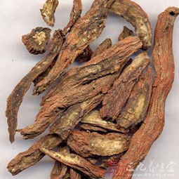 生脉利水汤治疗心力衰竭