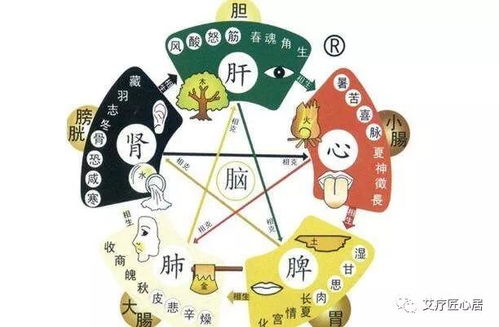 头为髓海,其痛有别 左肝右肺,前胃后膀胱经,不同头痛需辨证施灸 艾灸 