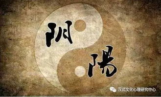 汉式养生 阴阳 如何诊断疾病的 虚实 呢 