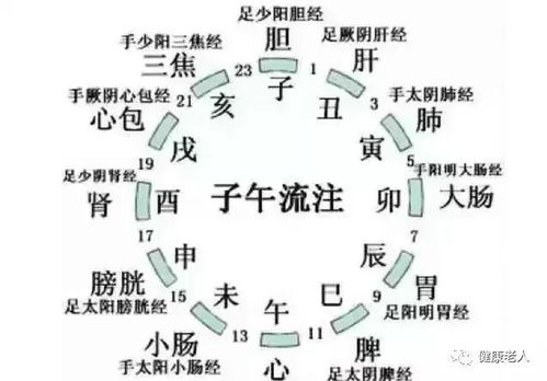 什么是养生 养生是什么 养什么生 看了6遍