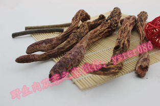 糖尿病人可以食用肉苁蓉吗 