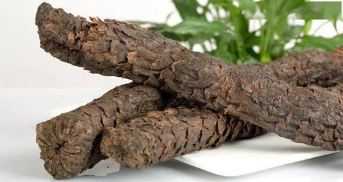 人参 鹿茸 冬虫草太贵了 这些平价又好用的 替身 了解一下
