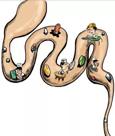 每个人体内装着一个 大房子 这些小肠疾病知识要了解
