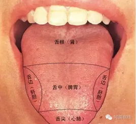 看病时医生为什么要看你的舌头 原来是这样 