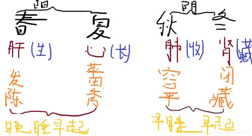 素问之二四气调神大论篇