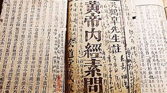传世中医药奠基著作 黄帝内经