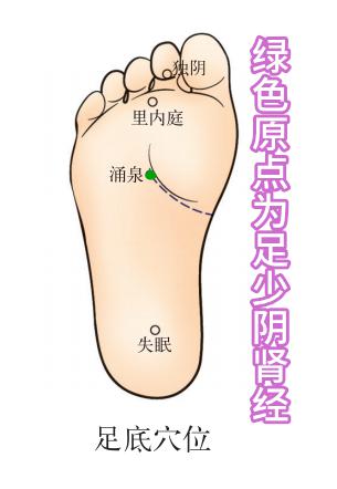 穴位知识 十二经脉 足少阴肾经之大钟穴
