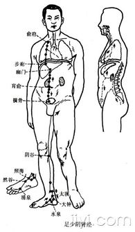 经络图2