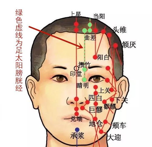 穴位知识 十二经脉 足太阳膀胱经之眉冲穴