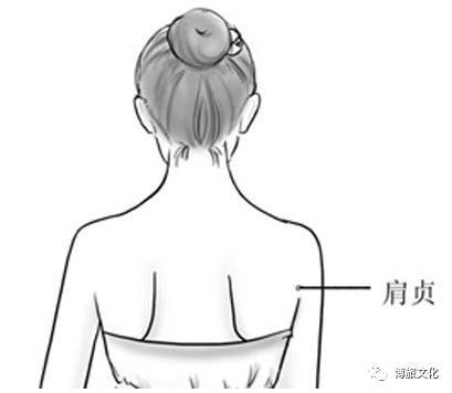 十二经络之手太阳小肠经