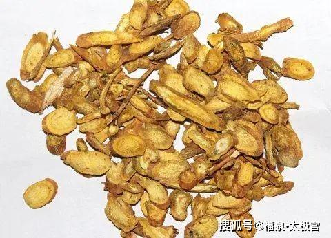 黄芩 清热燥湿,泻火解毒,止血,安胎就选它