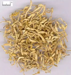 金银花的药用,你知道吗