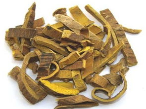 可治疗宫颈糜烂的中药有哪些